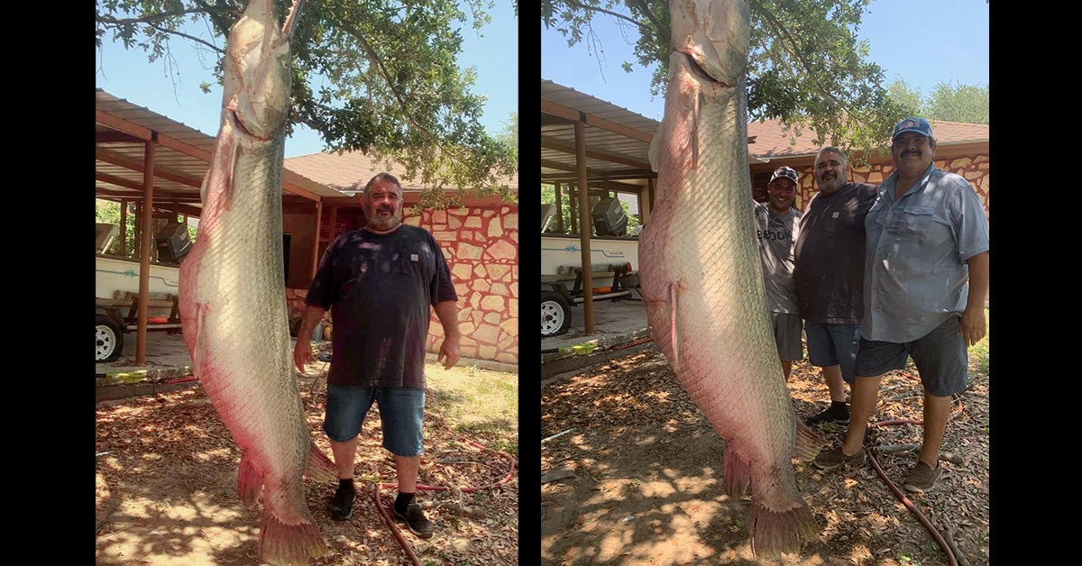Bow-angler breaks 40-year state record by catching 7.98-pound spotted gar