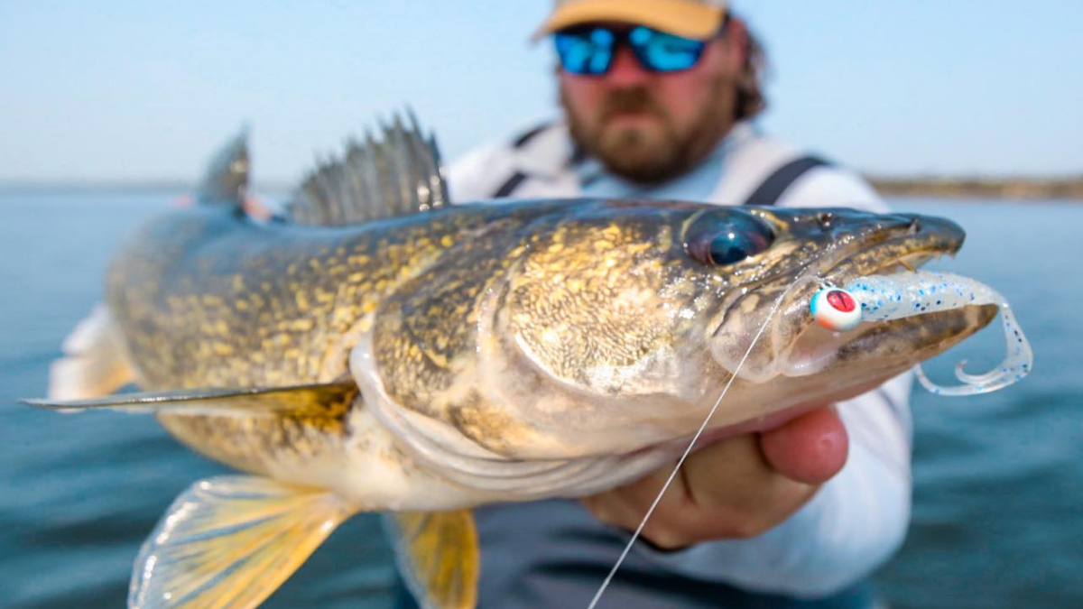 The Best Walleye Fishing Lures: Our Top 15 Picks - Life In Minnesota