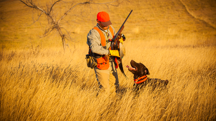 The True Value of a Great Hunting Shotgun