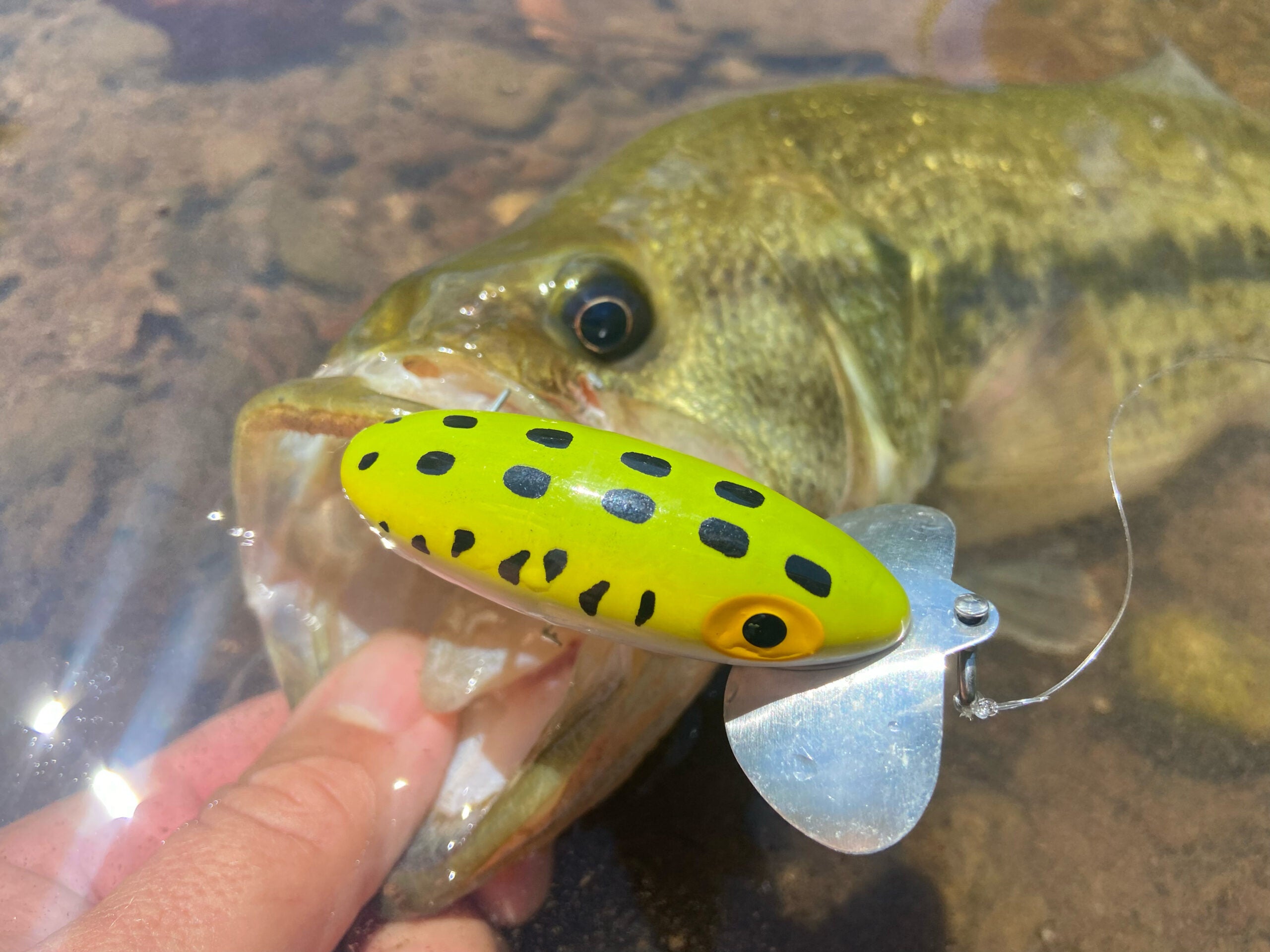 5 smallmouth baits for summer fishing - Bassmaster