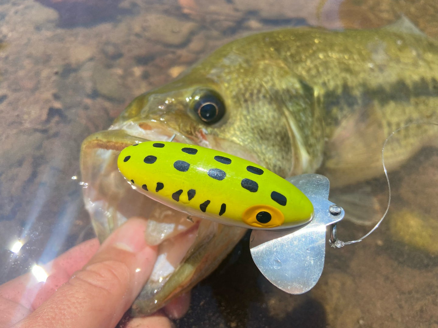Three Classics Bass Lures You Should Be Fishing Right Now