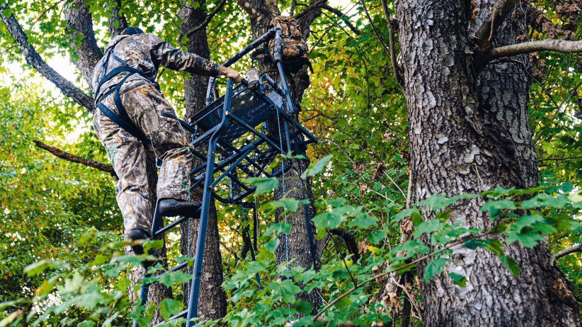 The 8 Best Ladder Stands of 2024 Field & Stream
