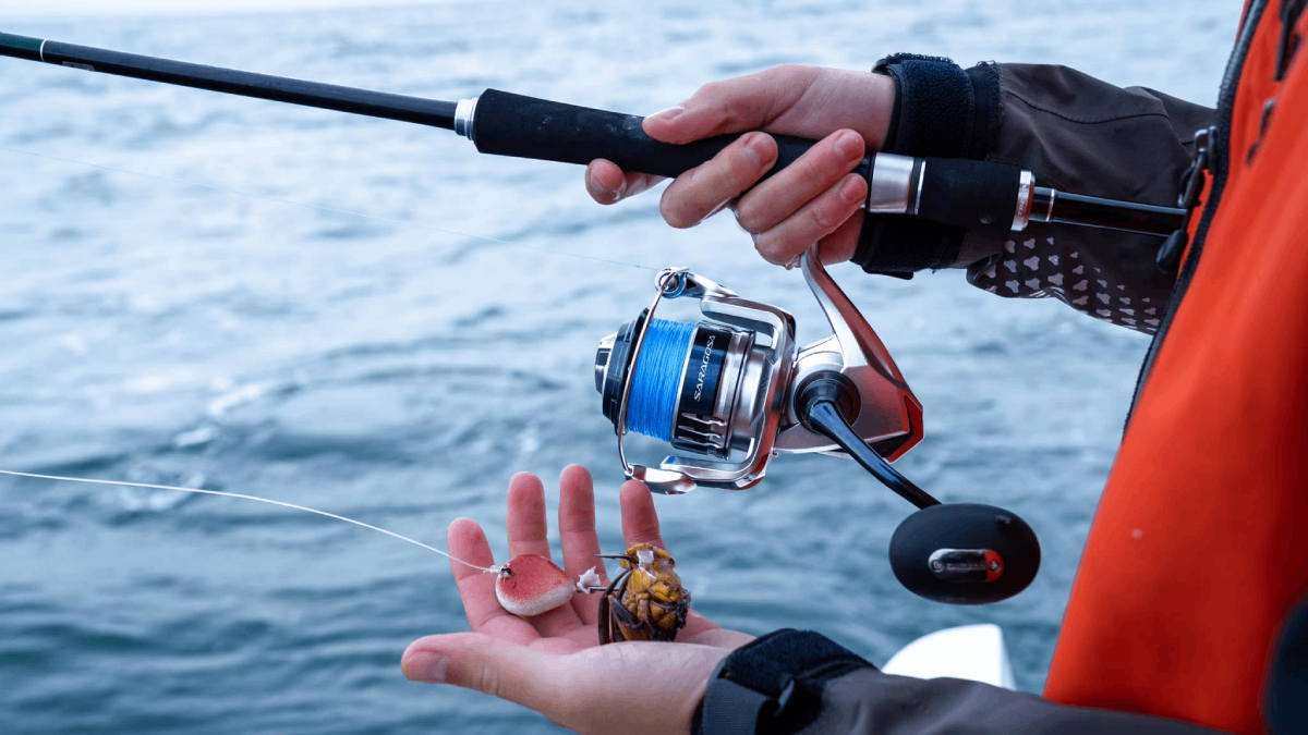 TOP 5 Best Spinning Fishing Reels Review In 2024 