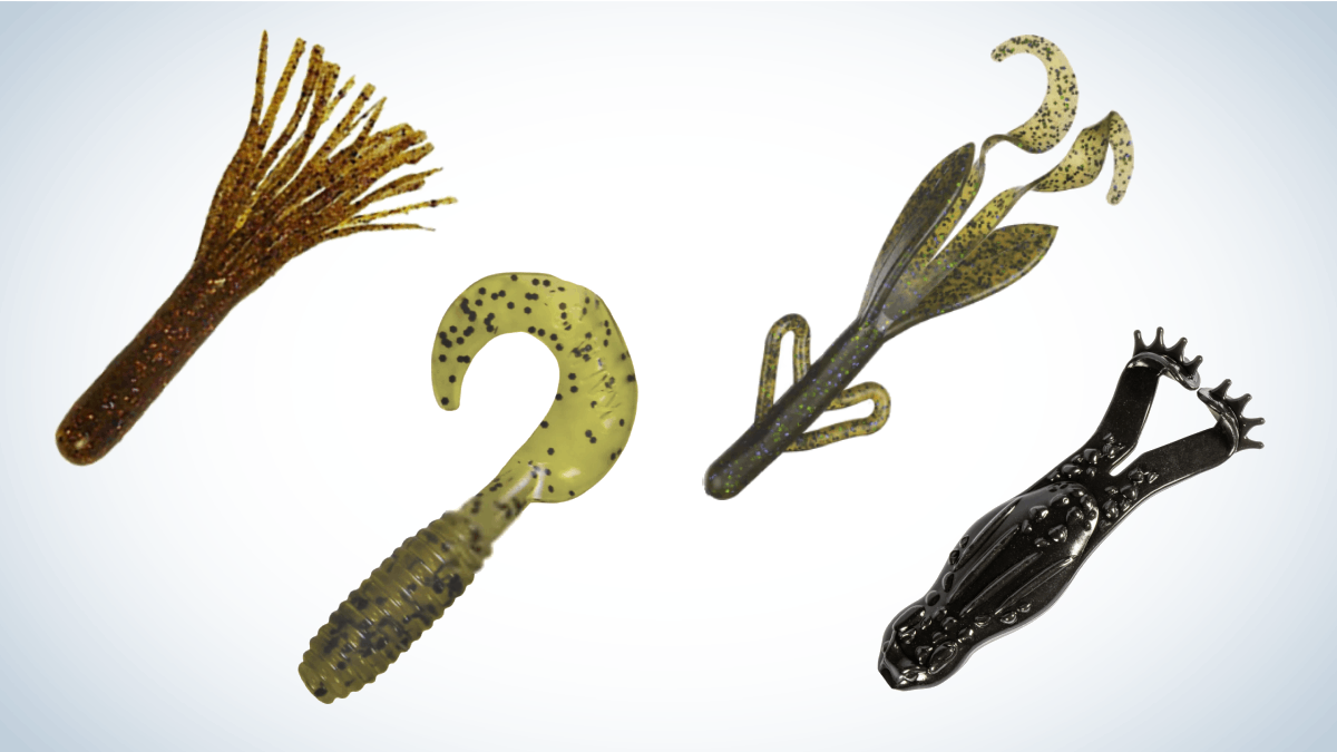 Different Styles of Soft Plastic Worms for Bass Fishing