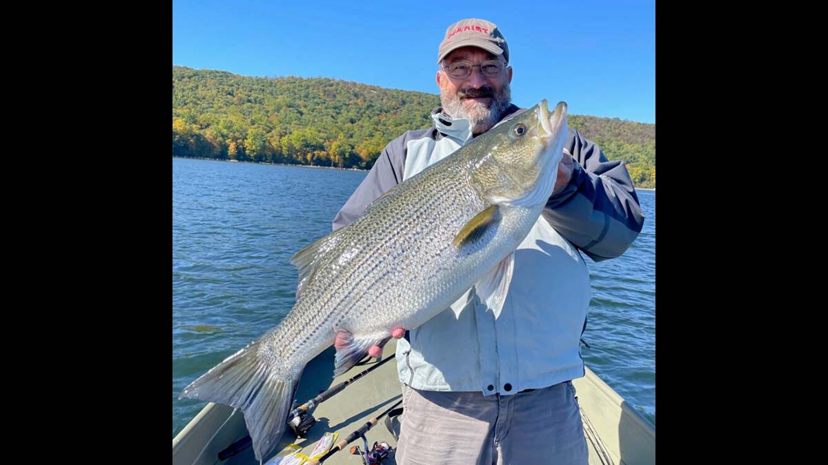 NJ Boasts Sacred Waters for Striped-Bass Fishing