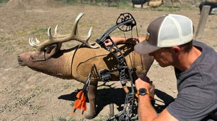 Best Archery Targets, Expert Tested