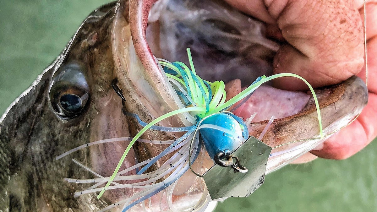 What A Chatterbait Looks Like In The Water (What A Fish Sees