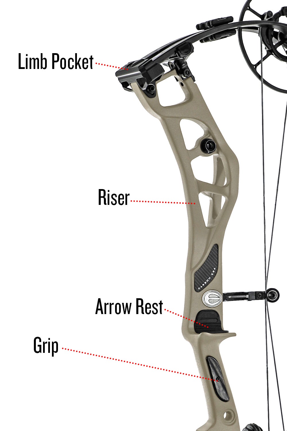 Parts Of A Compound Bow