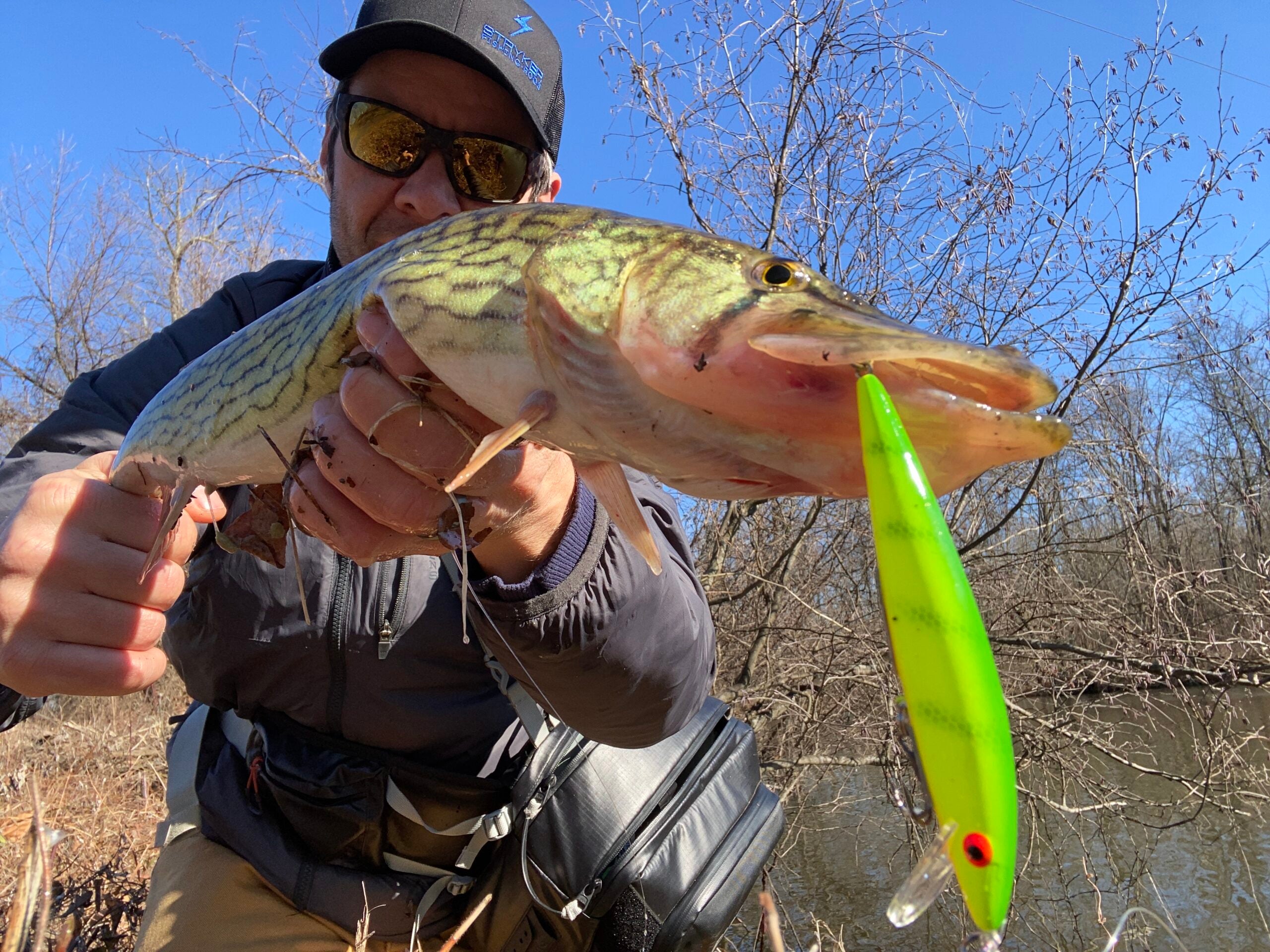 Pickerel Fishing A Complete Guide