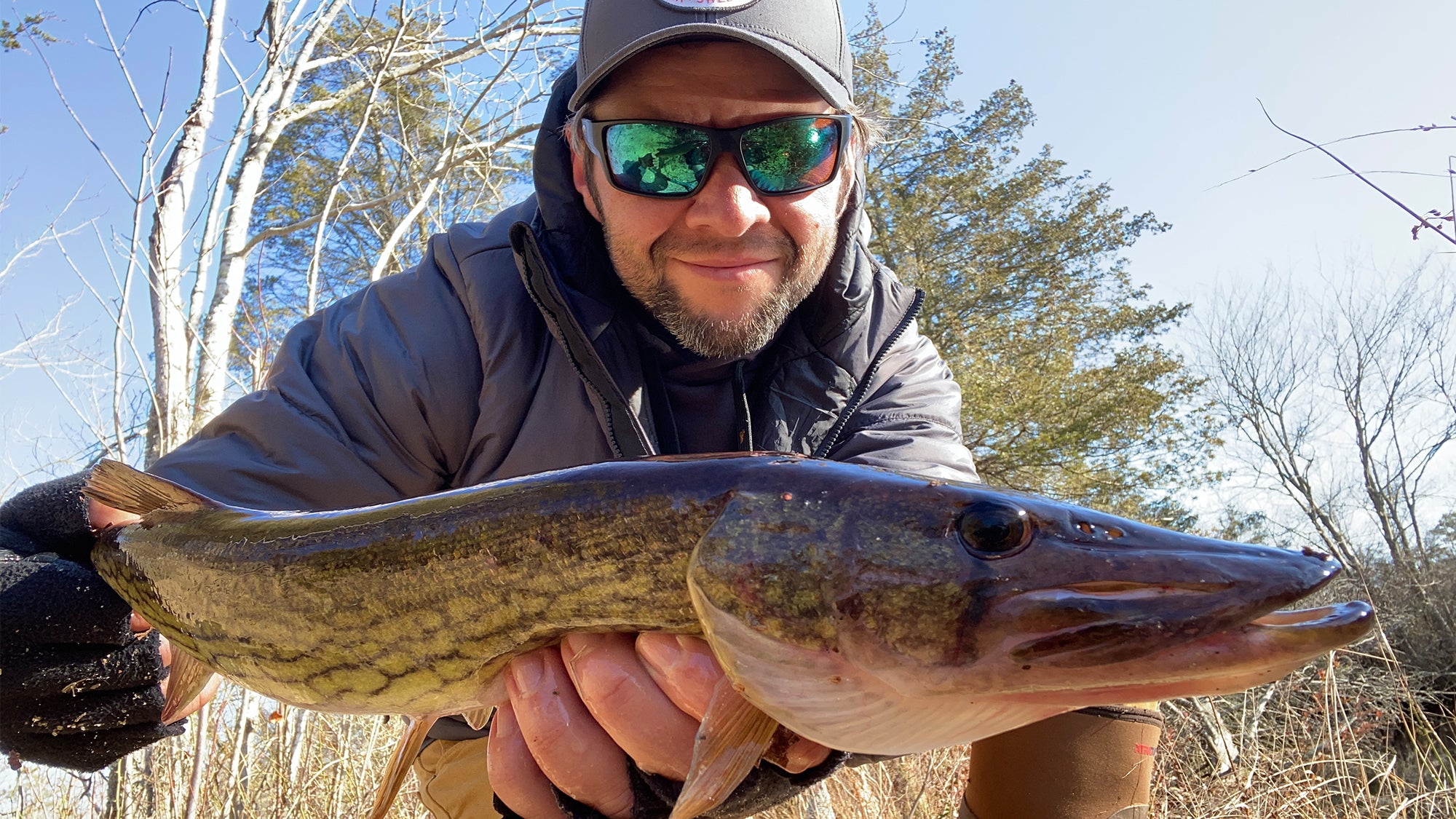 Pickerel Fishing: A Complete Guide