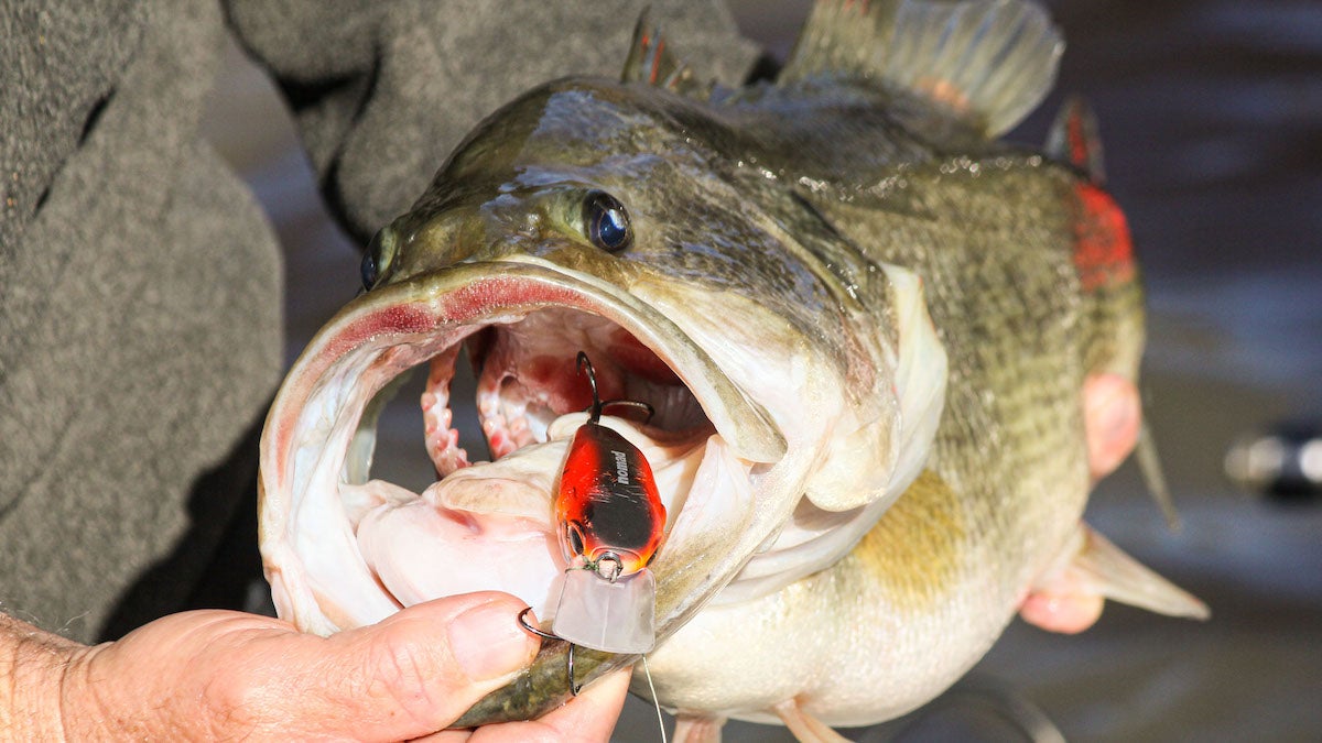 Cold Water Crankbait Tricks For Big Bass In Winter — Tactical