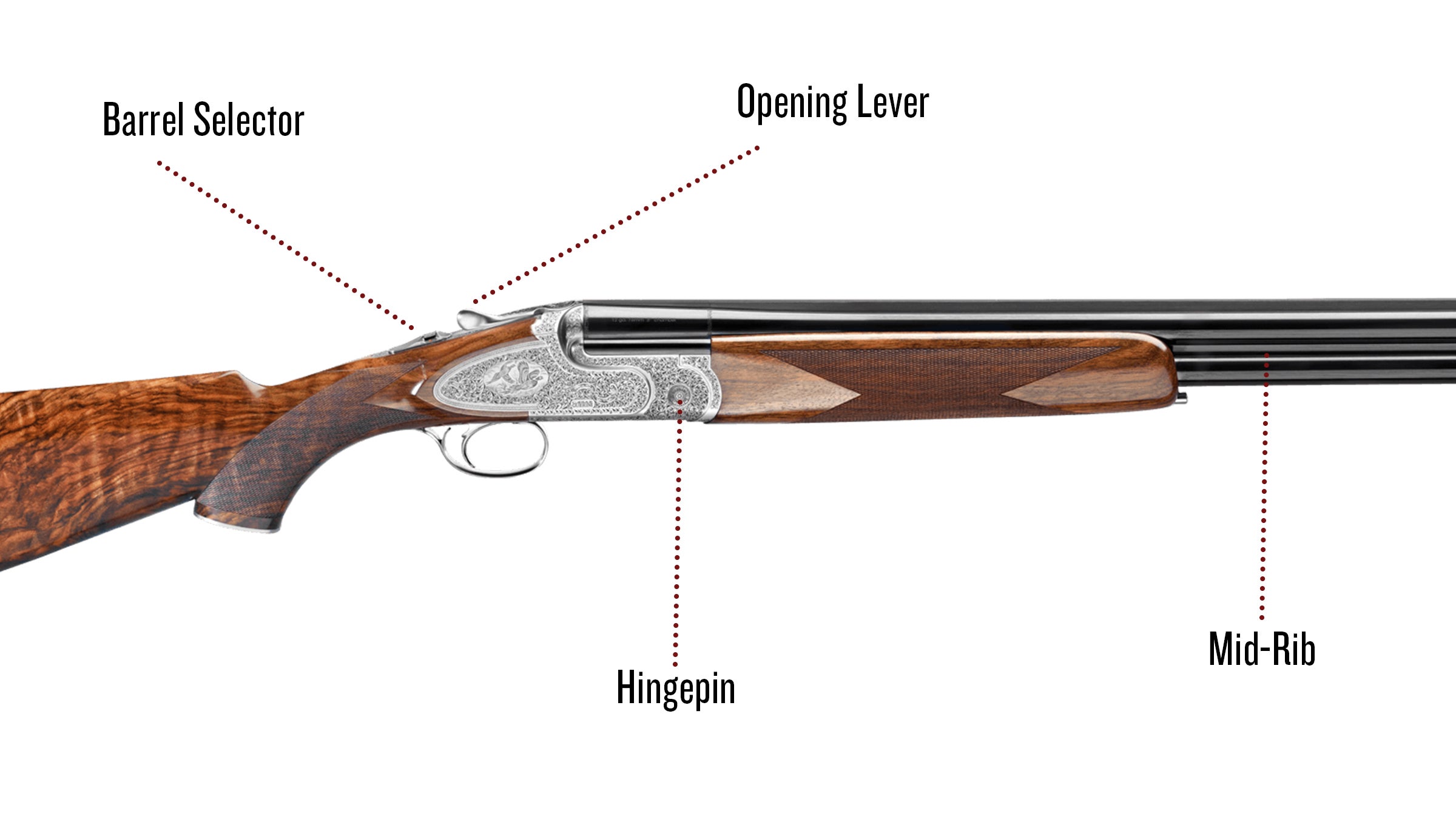 double barrel shotgun drawing