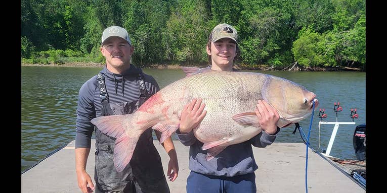 Angler Catches Massive 110-Pound Bighead Carp