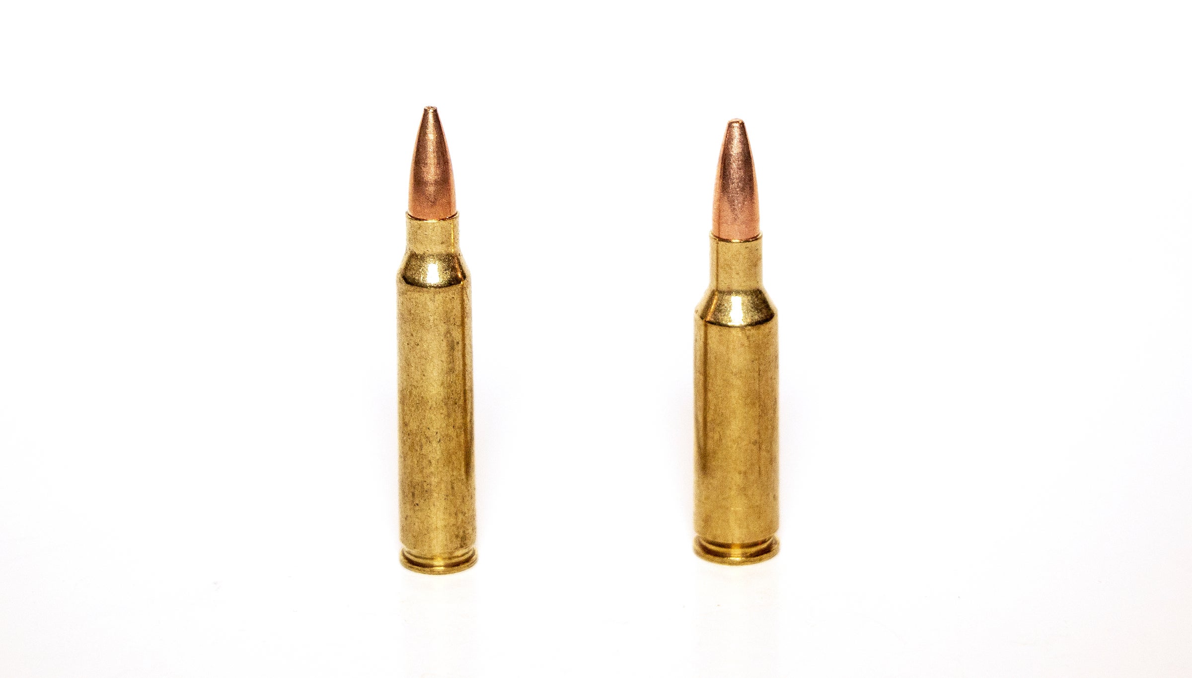 223 vs 308 - Two Sides Of The Same Coin - AmmoMan School of Guns Blog