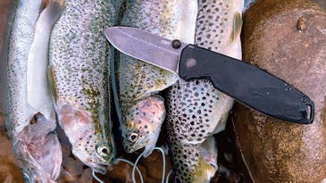 Best Trout Lures of 2024