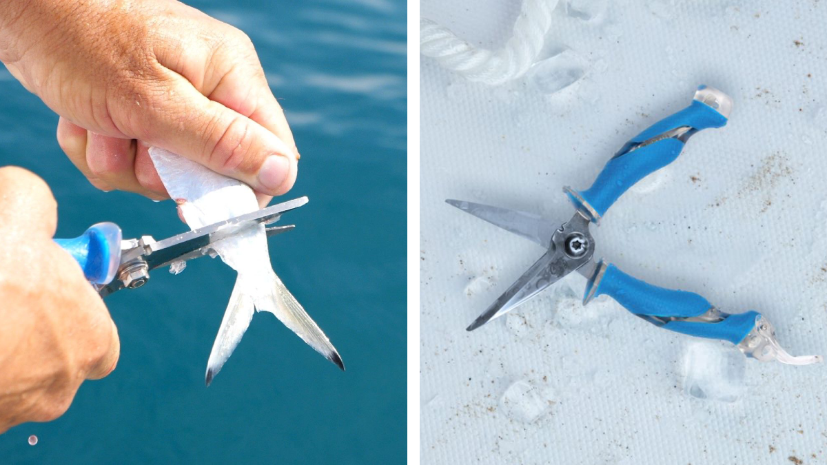 These Fishing Scissors Can Cut Through Anything—And They're Just $18 Right  Now
