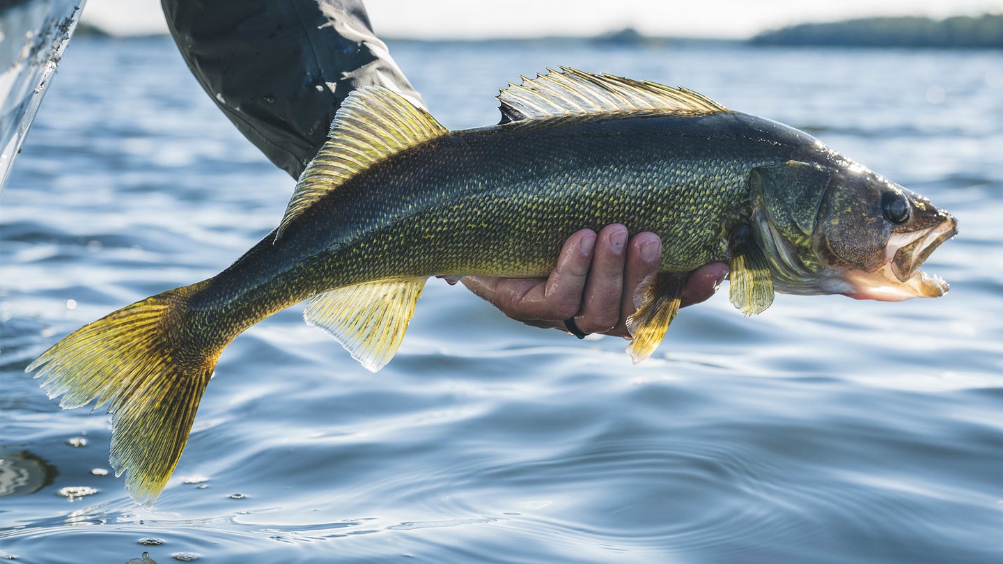 Utilizing the Smile Blade for Walleye Fishing