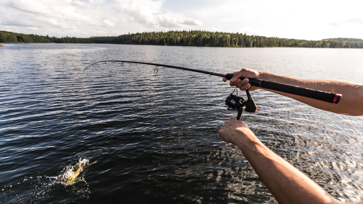 Bass Pro Labor Day Sale 2023 Best Deals on Fishing Gear and More