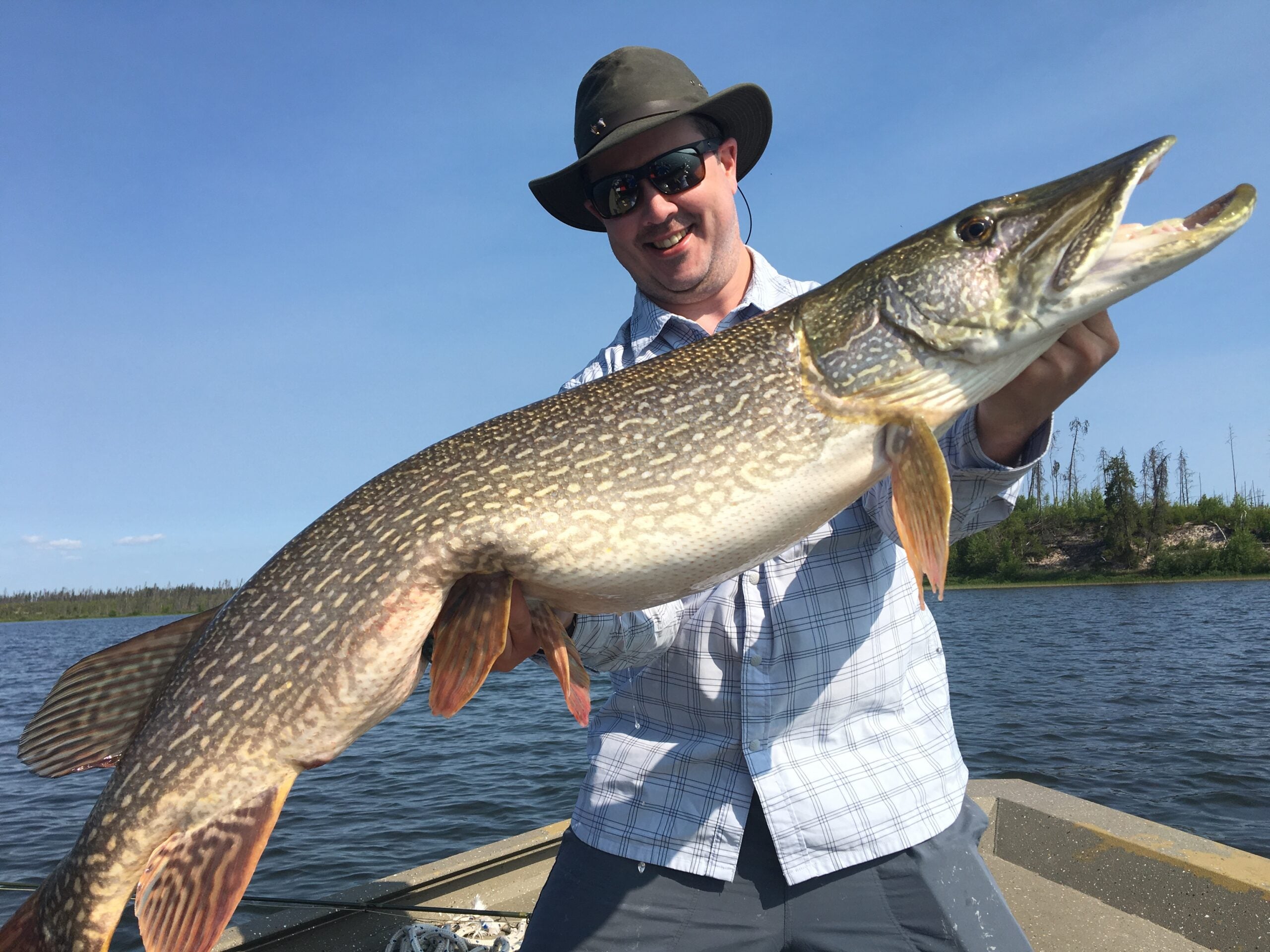 Pike Fishing 101: A Beginner's Guide to Catching Big Northerns on