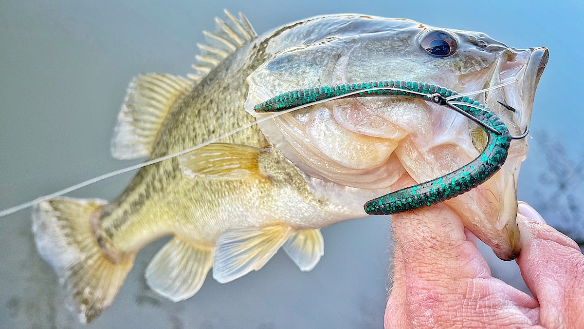 worm lures for bass fishing tackle