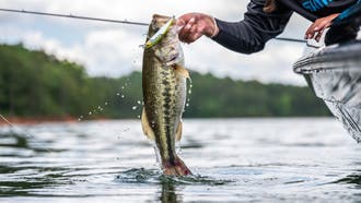 The Best New Fishing Gear and Tackle for 2019