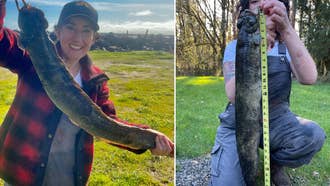 Georgia Angler Catches 70-Pound Catfish on Light Tackle
