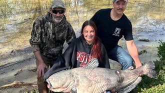PIEBALD BLUE CATFISH: Rarest Catfish In The Tennessee River 
