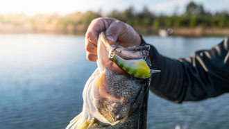 The BEST Bass Fishing Lures You've NEVER Heard Of / Loud Mouth LURES / Core  Shot Worms 