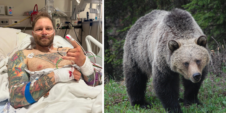 Army Veteran’s Bear Spray Explodes When Grizzly Bites It, Stopping Brutal Attack