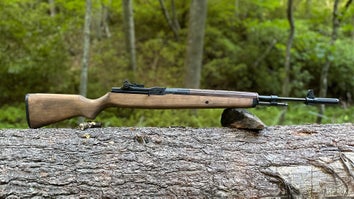 Springfield Armory M1A Air Rifle, Expert Tested