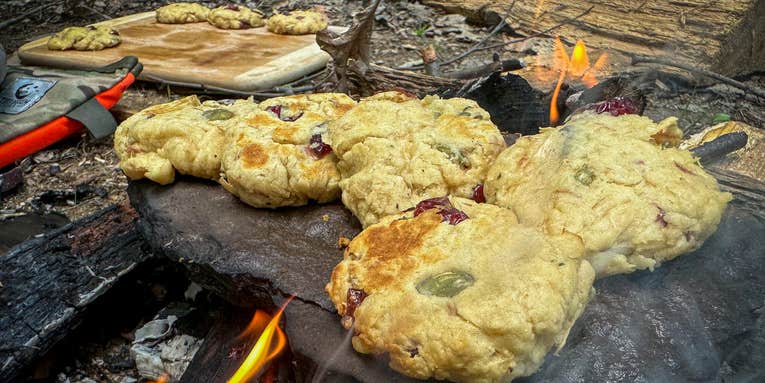 How to Make Pine Bark Cookies: A Guide to Wilderness Baking
