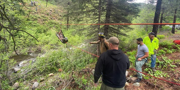 Oregon Camper Trapped in Ravine is Rescued After Dog Runs 4 Miles for Help