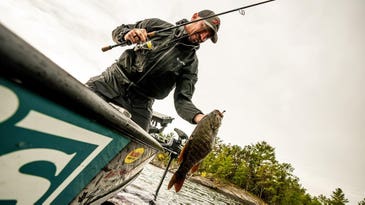 How to Fish the Final Best Day of the 2024 Bass Spawn, June 21st