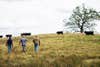 Porter Road founders walking on cattle farm
