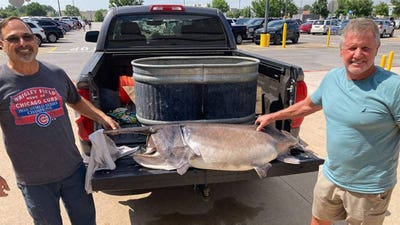 Arkansas Angler Snags 127-Pound State-Record Paddlefish