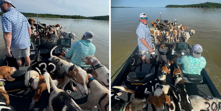 “We Didn’t Reel in a Lot of Fish, But We Reeled in a Lot of Dogs”