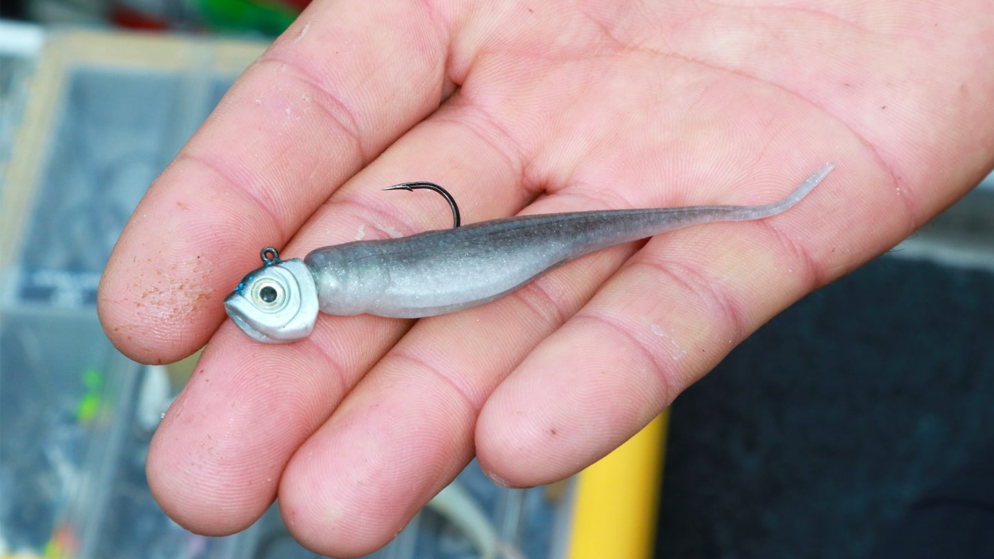 An angler hols a jighead minnow rig in the palm of his hand, with tackle box in background.