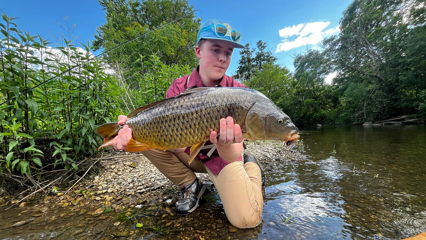 Angler holding up carp