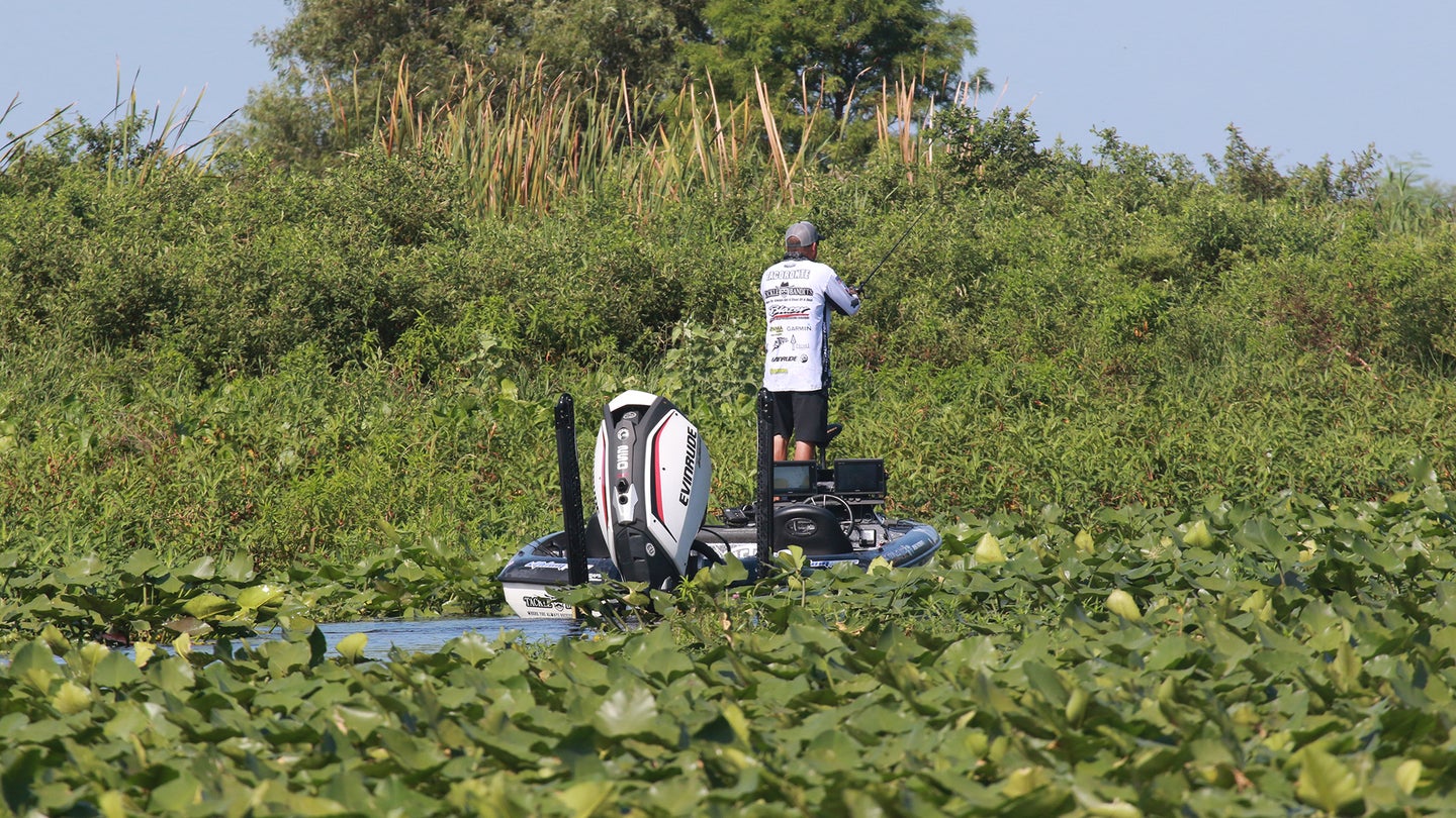 A pro bass angler work a bait in a see of lily pads and other vegetation.