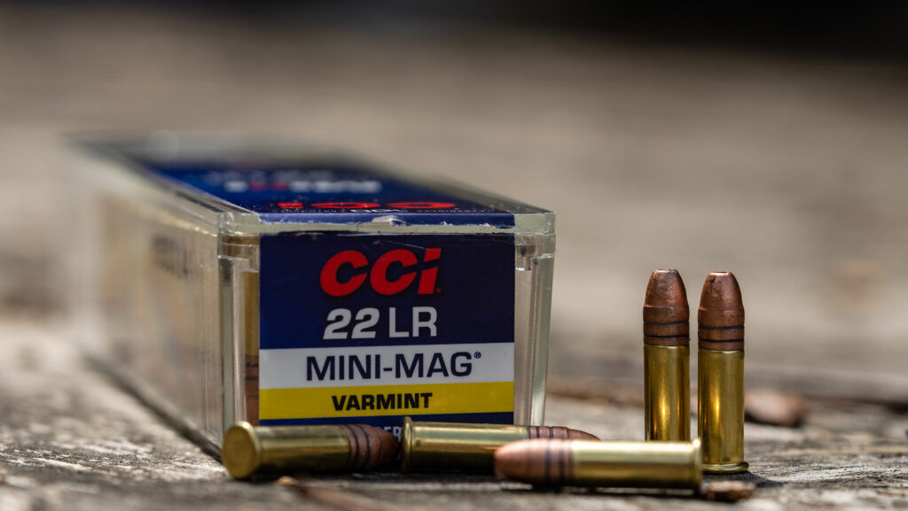 CCI 22 LR ammo sitting on a table.