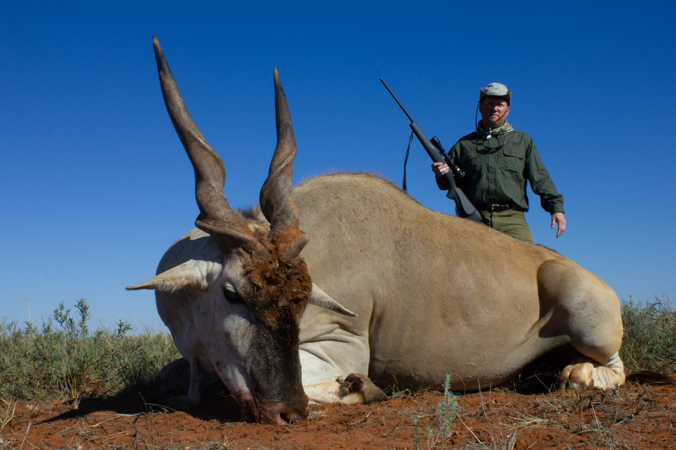 A hunter standing behind a eland he harvested.
