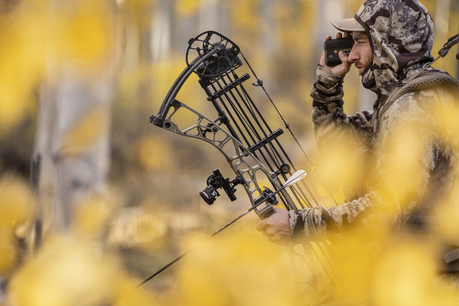 A bowhunter glasses in the aspens, surround by yellow fall leaves.