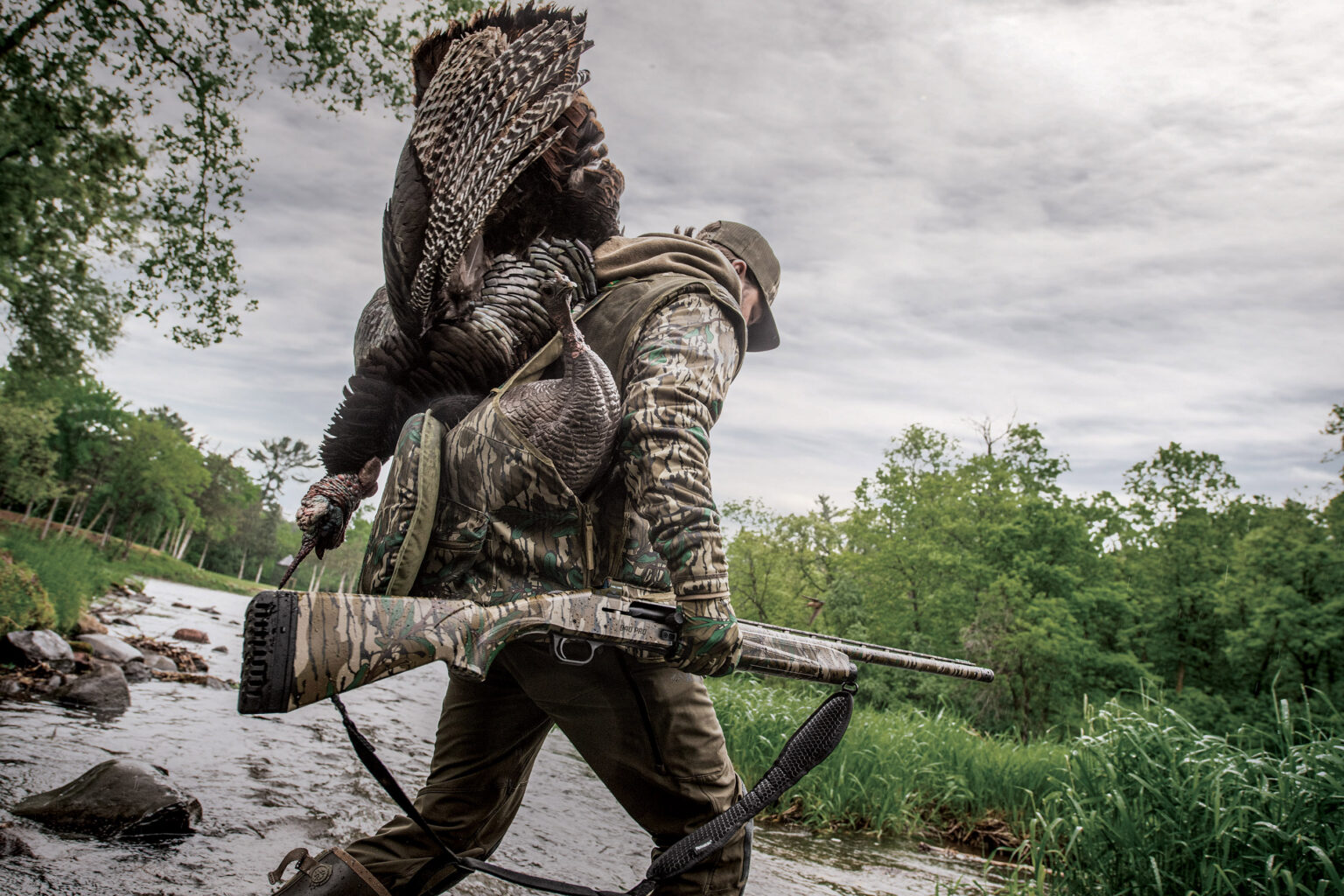 A hunter walks out of the woods with a turkey over his shoulder.