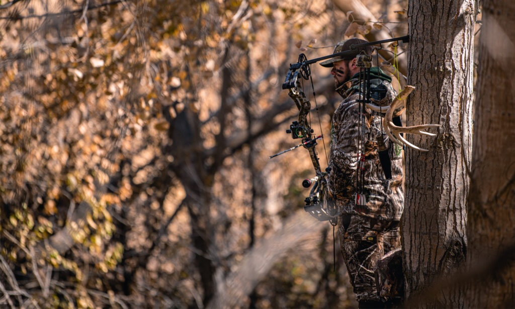 A bowhunter in the deer woods
