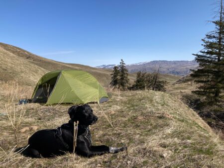The Best Camping Gear, Tested and Reviewed