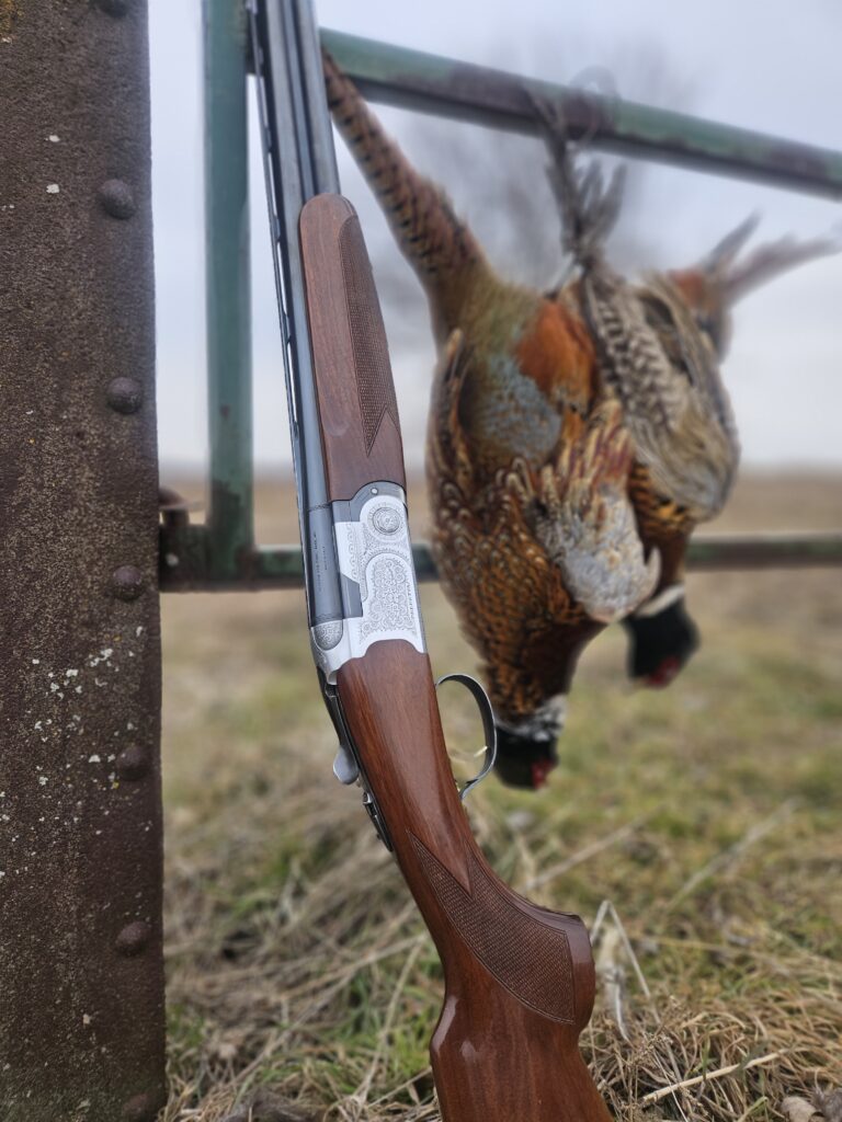 Beretta 686 shotgun next to two pheasants