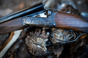 10 Affordable Dream Shotguns