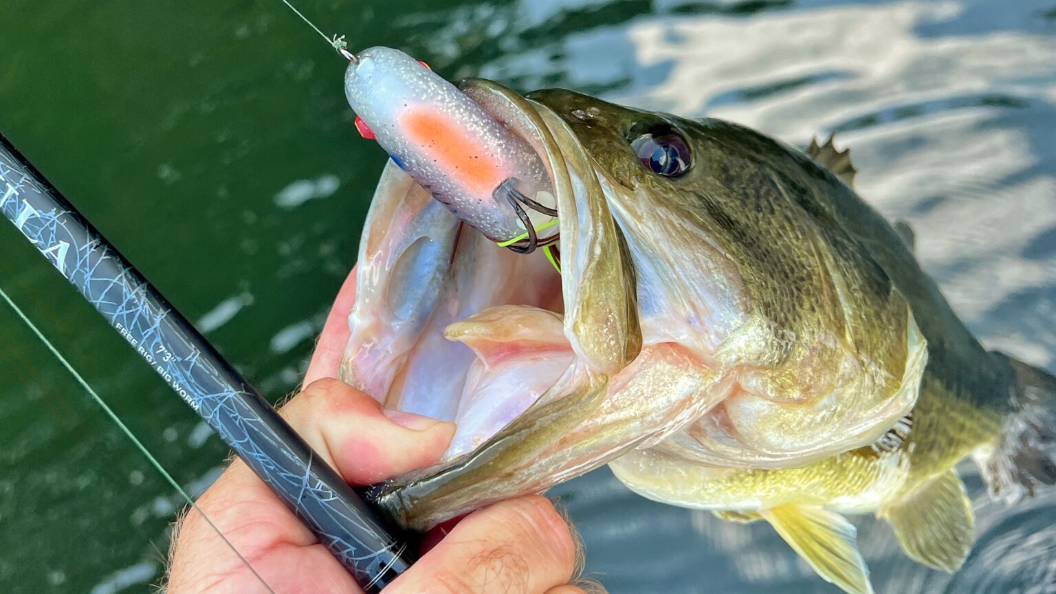 The Best Frog Lures for Bass, Expert Tested