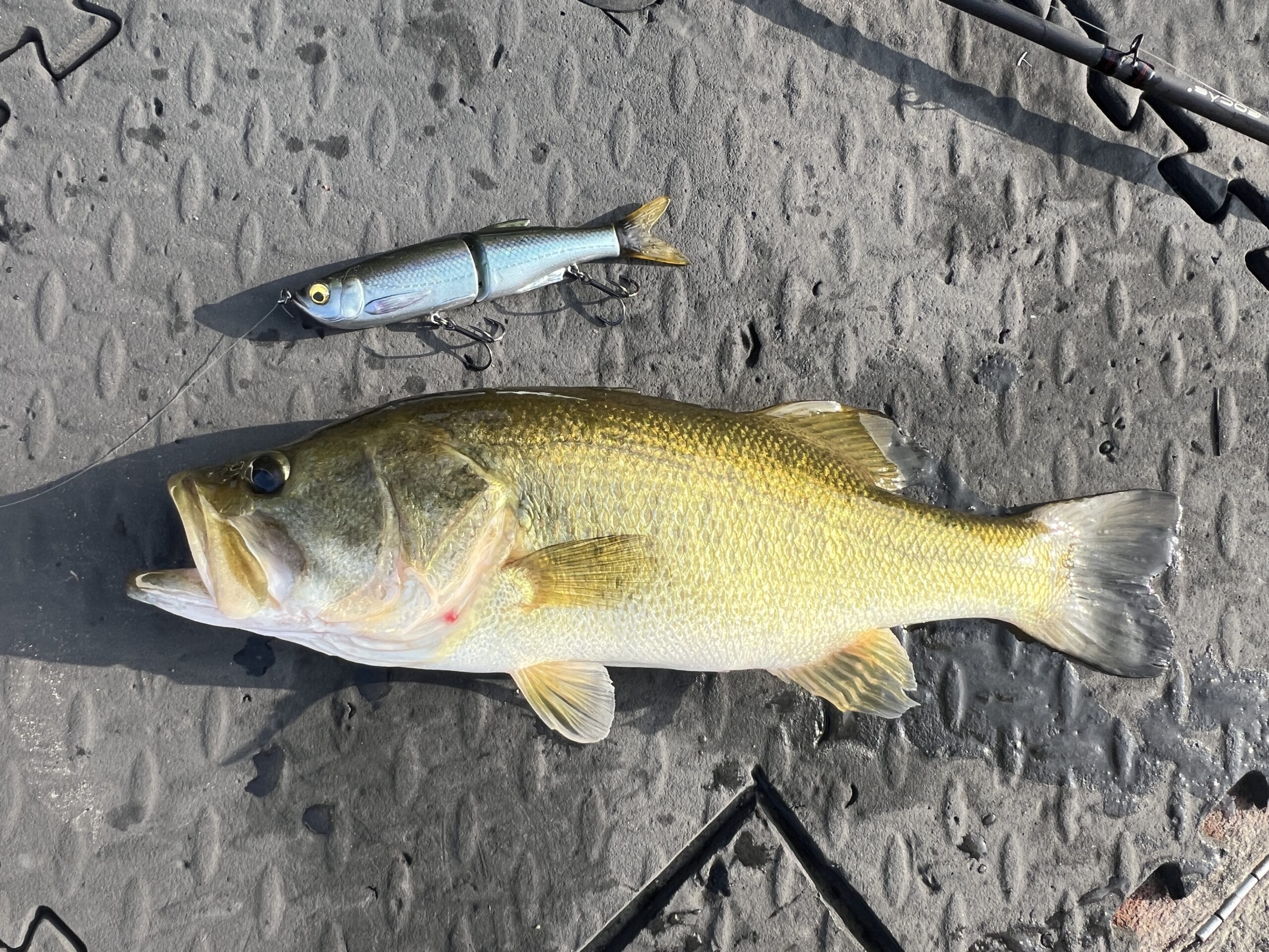 Savage Gear Glide Swimmer 6.5”