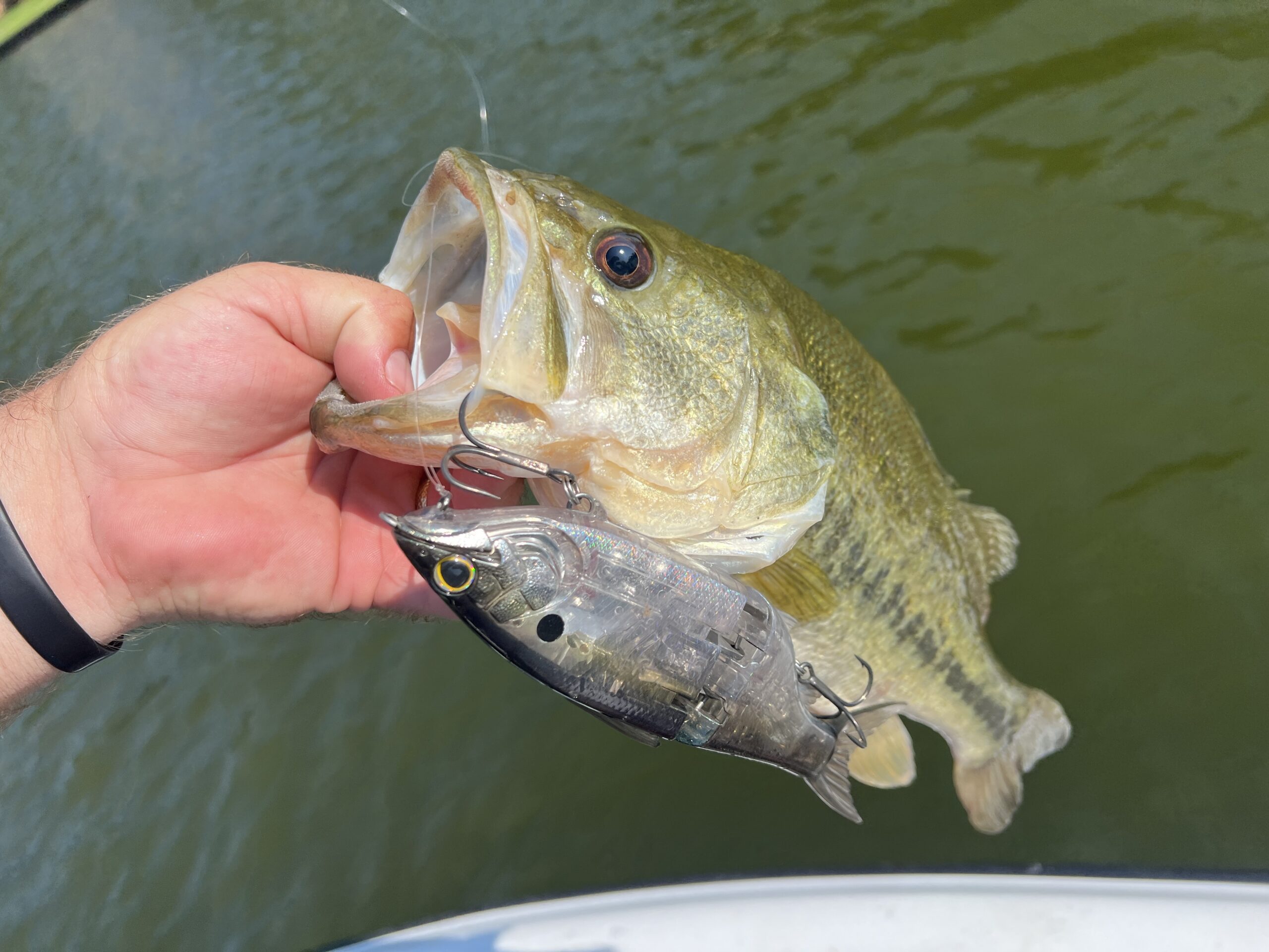 Shimano Gravitator 200